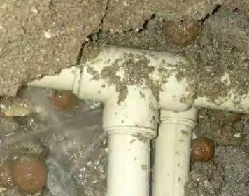 迪庆测漏水多少钱