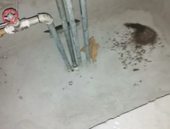 迪庆卫生间测漏水价格明细